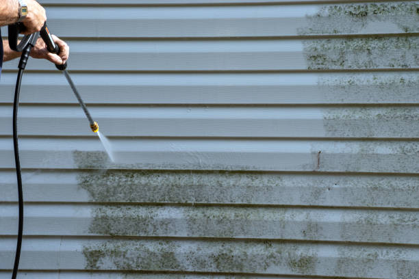 Best Same-Day Junk Removal Services  in Midway, GA